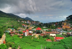 Kinh nghiệm du lịch Tam Đảo 