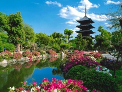 8 điểm đến tuyệt vời ở Kyoto