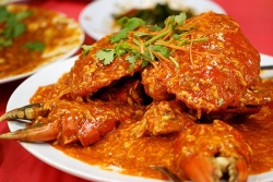 10 món ăn khó quên khi đến Singapore