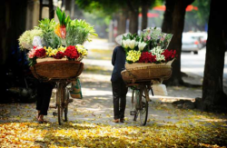 NHỮNG ĐIỂM DU LỊCH TRONG NƯỚC LÝ TƯỞNG CHO MÙA THU ĐÔNG