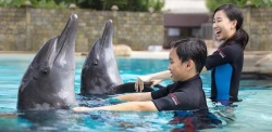 Những điểm vui chơi kỳ thú ở đảo Sentosa - Singapore