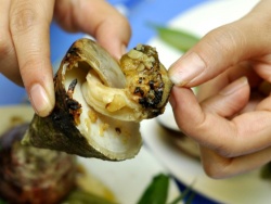 Ốc vú nàng món nướng thơm ngon