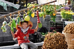 Quay lại chợ nổi Cái Răng