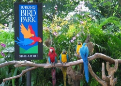 Những địa điểm du lịch ở Singapore