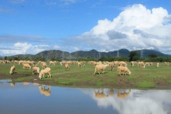 Những điểm cắm trại lý tưởng ở Ninh Thuận dành cho phượt thủ