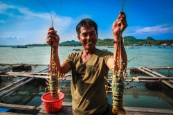 Bạn muốn đến đâu trong 5 điểm dưới đây để thưởng thức tôm hùm?