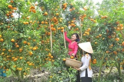 Những trải nghiệm đáng nhớ khi đi du lịch miền Tây