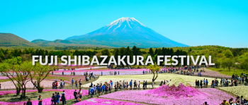 RỰC RỠ SẮC HOA NHẬT BẢN 2019 TOKYO-NIKKO-YAMANASHI-FUJI