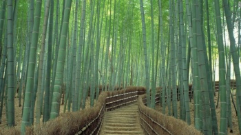 KYOTO - SHIGA - NAGOYA