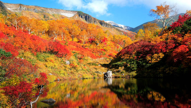 du lich han quoc mua nao dep nhat