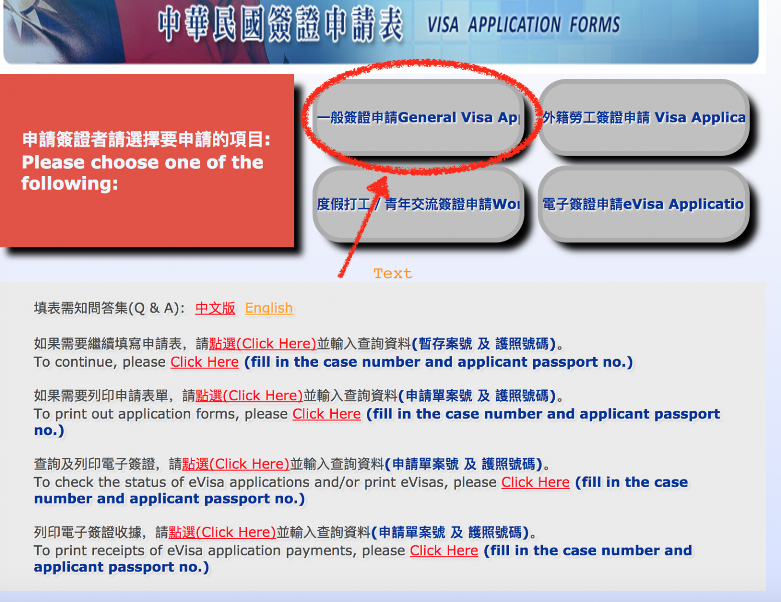 huong dan dien visa online di da loan